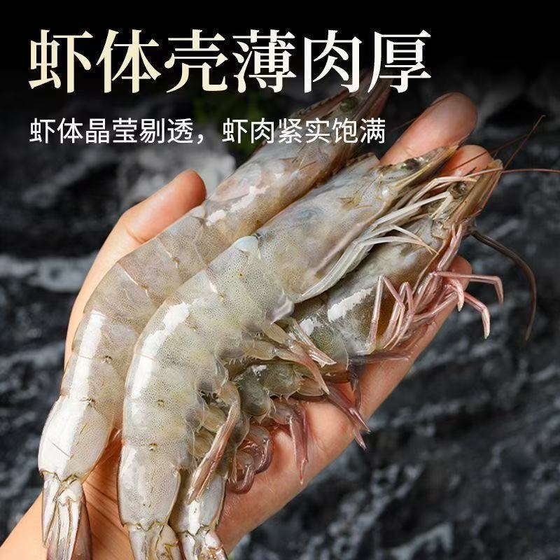 海虾对虾鲜活大虾1500g冷冻青岛海鲜生鲜冻虾南美白虾水产海洋