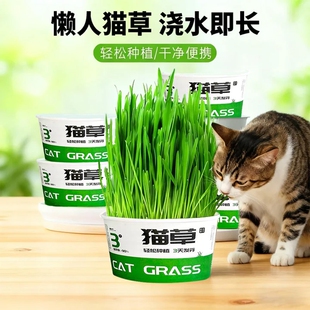 懒人种植猫草盆栽泡面土培盒吐毛球化毛猫咪零食用品水培泡面猫草