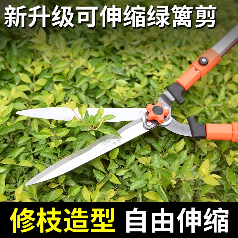 园艺大剪刀园林工具修花剪绿化修枝剪树枝修剪草坪剪子绿篱专用剪图片