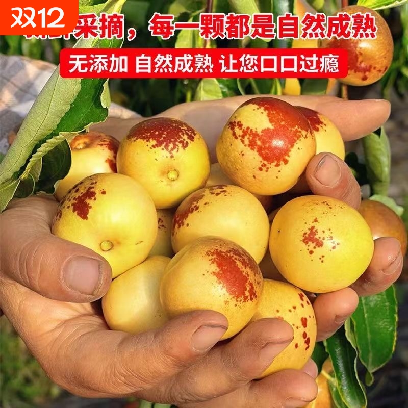 商超供货品质大荔冬枣5斤枣子新鲜当季水果脆枣鲜枣甜枣大青枣