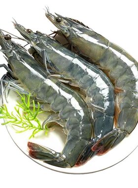 鲜活速冻海鲜冷冻批发新鲜生鲜厄瓜多尔大虾白对虾海虾白虾水产