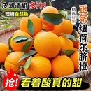 纽荷尔脐橙当季 孕妇水果新鲜橙子榨汁鲜橙酸甜多汁现摘果园直供