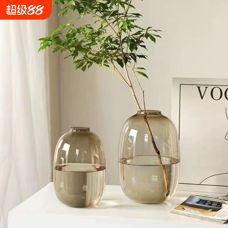玻璃花瓶简约风客厅透明摆件图片