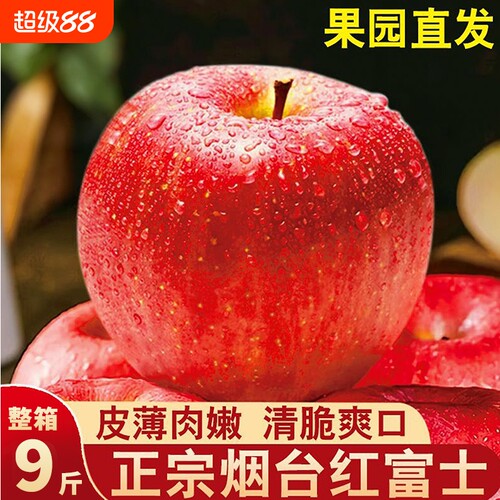 正宗山东烟台红富士冰糖苹果