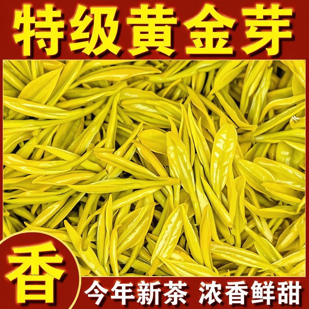 浙江新茶2026新茶明前特级黄金芽绿茶黄金叶高档装罐装袋装茶叶
