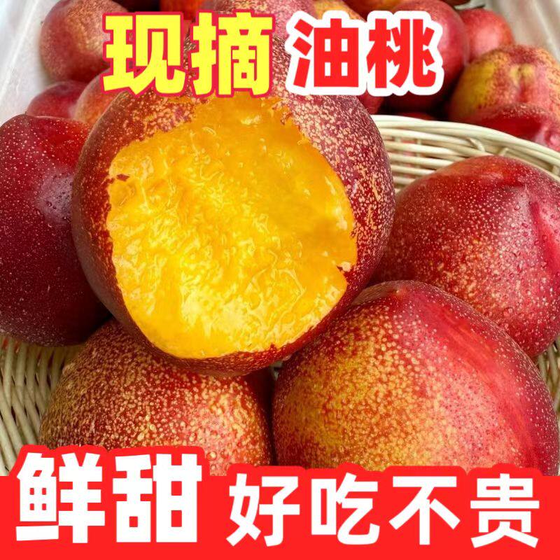 正宗山西麻脸黄心油桃当季水果新鲜现摘头茬脆甜大油桃子