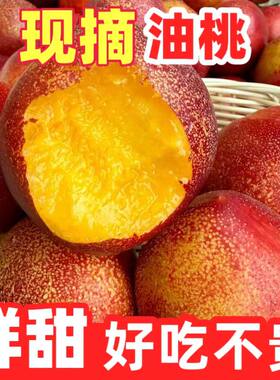 新鲜爆甜黄心麻脸大油桃