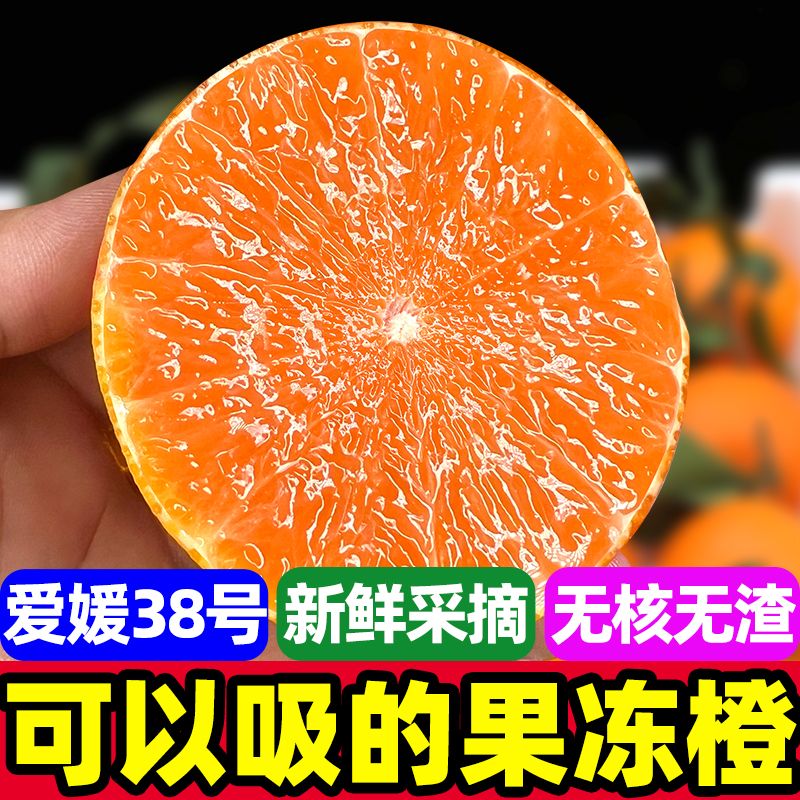 【彩箱装】四川38号爱媛橙果冻橙4.5斤果径65mm+