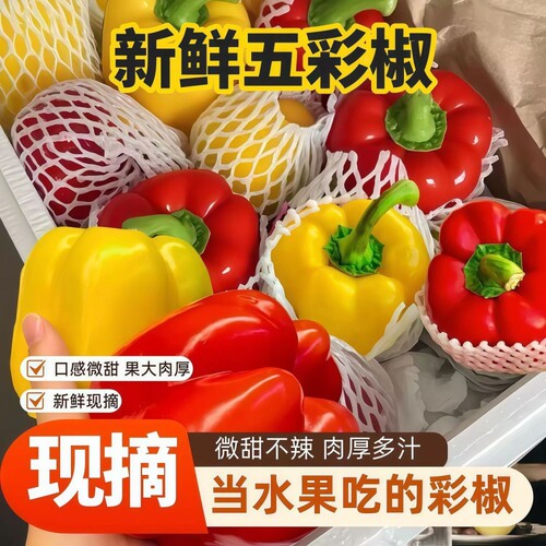 彩椒新鲜水果甜椒生吃七彩辣椒