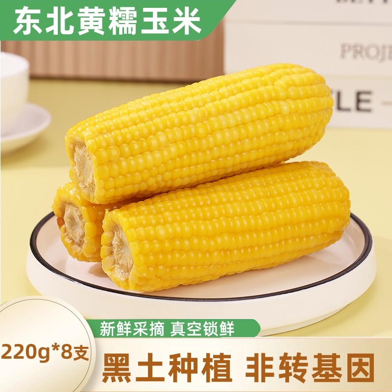 东北黄糯玉米当季新货粗粮早餐轻食代餐粘黄苞米低脂饱腹真空装