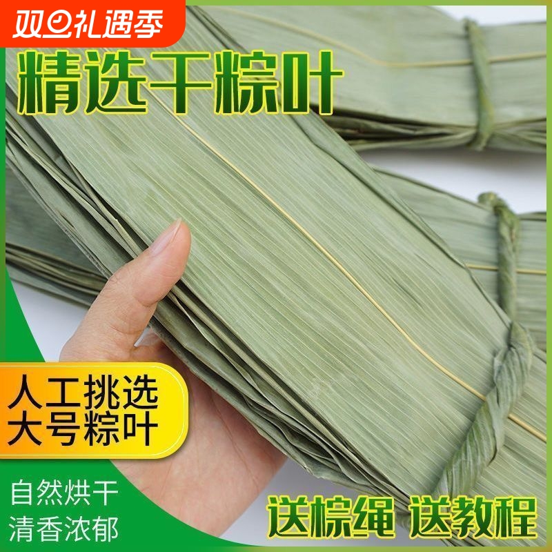 干粽叶新鲜大叶家用纯天然野生粽叶子干大号粽子叶箬叶端午包粽子