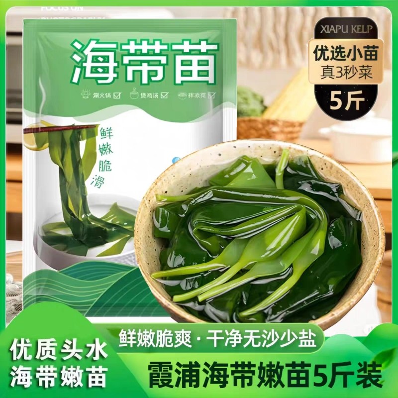 霞浦新鲜海带苗嫩苗凉拌菜火锅食材无添加商用批发盐渍裙带菜干货