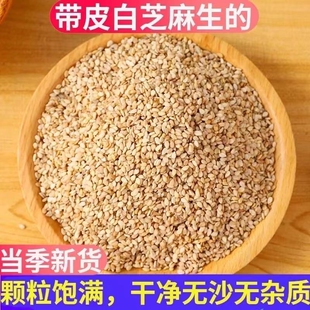 精选带皮白芝麻生的2026年新货农家自种芝麻粒仁种子无杂质免洗