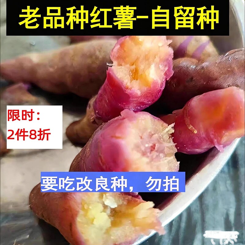 无激素杀虫药老品种红薯冰淇淋番薯一点红紫薯地瓜蔬菜土特产素食