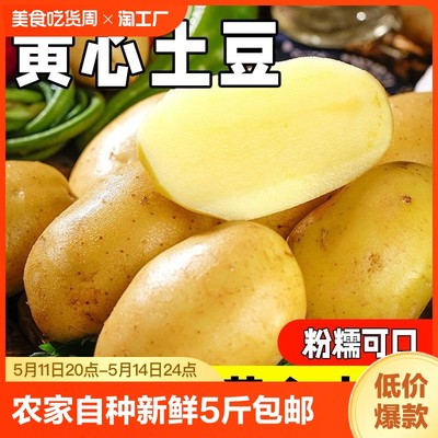 农家自种土豆新鲜5斤包邮黄心土豆沙地马铃薯新鲜蔬菜土豆山东