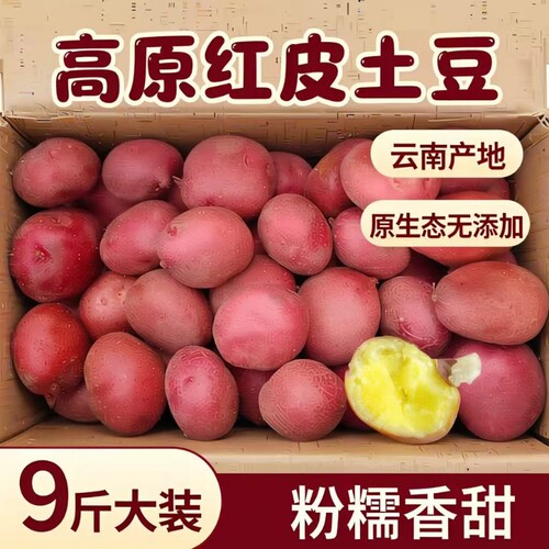 精选迷你小土豆新鲜9斤农家自种蔬菜现挖红皮小马铃薯小洋芋包邮