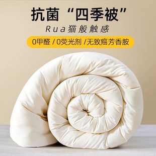 被芯水洗棉纤维被子褥子空调夏凉被双人春秋被加厚冬被宿舍棉被芯