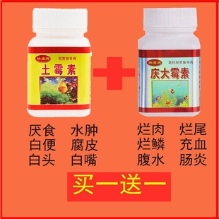鱼用土M素益生菌盐热带鱼观赏鱼庆大M素土M素鱼白点锦鲤鱼池肠炎