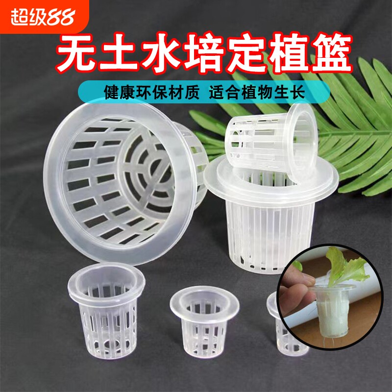 定植篮水培器皿植物无土栽培塑料加深种植蔬菜固定器阳台楼顶底部