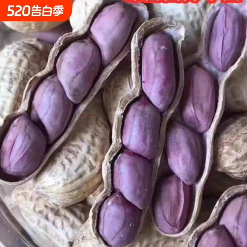 【厂家冲量】农家水煮花生晒干红皮花生咸干盐水煮香脆花生