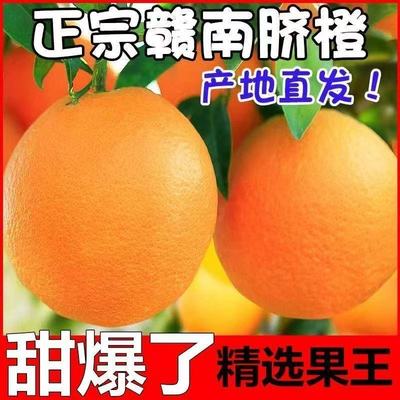 正宗橙子新鲜江西赣州脐橙手剥甜橙应当季水果