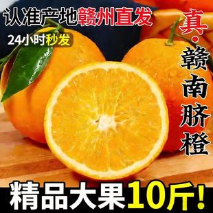 正宗江西赣南脐橙新鲜橙子赣州当季水果整箱甜冰糖手剥橙现摘