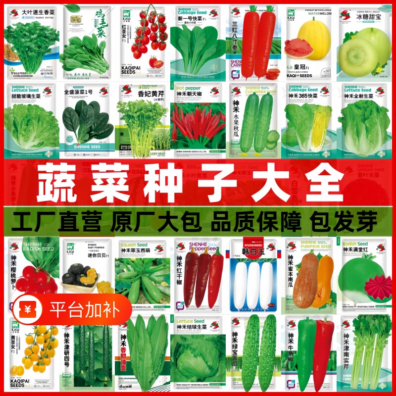 蔬菜种子多季播辣椒西瓜籽孑香菜春季蔬菜大全菠菜四季豆番茄白菜