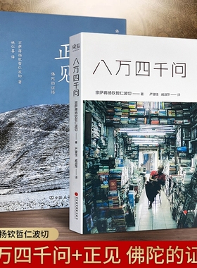全新正版 八万四千问+正见 佛陀的证悟  叩问内心的每一个不确定 找到属于自己的答案 都藏着认识世界的方式