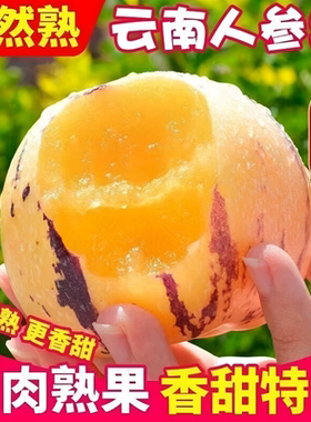 云南石林人参果圆果新鲜水果当季整箱七彩黄肉长寿人生果现摘鲜果