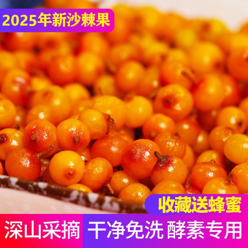 25新货山西特产吕梁新货精选新鲜沙棘果纯野酵素用榨汁多买优惠