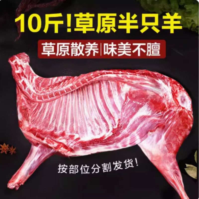 羊肉新鲜现杀内蒙古10斤羊蝎子羊排全羊整只羊腿烧烤食材苏尼特