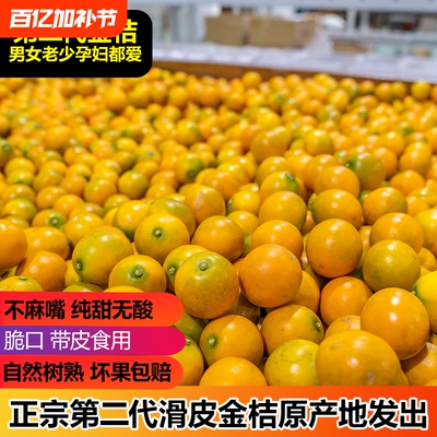 广西融安滑皮小金桔新鲜应当季水果蜜金柑孕妇整箱包邮脆皮脆蜜