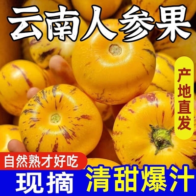 香甜人参果整箱|超1000次加购