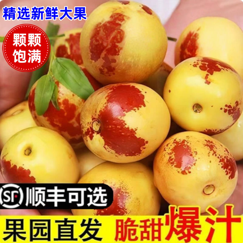 顺丰包邮正宗冬枣新鲜大果应季整箱枣子现摘脆枣冰糖大枣当季水果