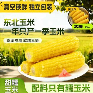 25年头茬东北真空包装黏玉米棒黄糯苞米现摘甜粒粘真空装早餐即食