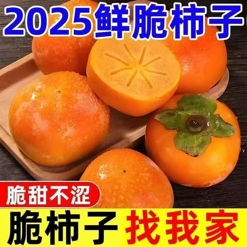 正宗阳丰巧克力脆柿应当季脆甜柿子新鲜水果无核整箱批发冰糖柿子