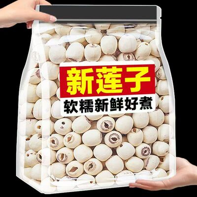 新莲上市净重莲子干货无硫新货新鲜磨皮建宁白莲去芯白莲干货批发