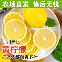 Anyue Yellow lemon fruit is a fresh fruit of the season. The fresh lemon yellow fruit is soaked in water, and the fresh fruit is directly grown. The whole box is freshly picked and juicy thumbnail 5