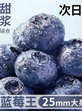 云南蓝莓新鲜水果花香蓝莓鲜果现摘当季特大果l25顺丰/京东空运