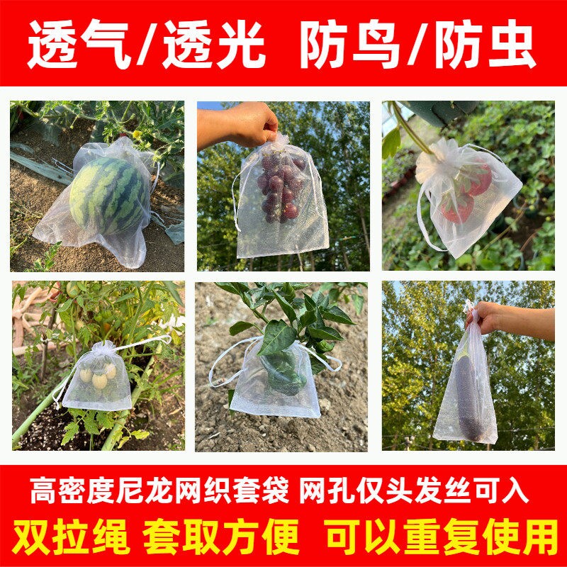 水果套袋防鸟网纱袋瓜果防虫专用袋无花果葡萄桃子保护袋石榴西瓜