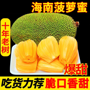 海南黄肉菠萝蜜一整个新鲜水果波罗蜜三亚特产整箱包邮热带香蕉