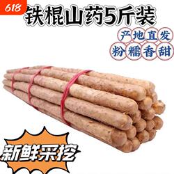 河北蠡县麻山药铁棍山药新鲜山药小白嘴山药粉糯轻微带土产地直发