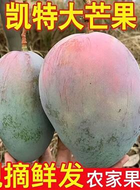 四川攀枝花凯特芒果当季新鲜水果现摘超甜彩虹芒大青吉禄芒果整箱