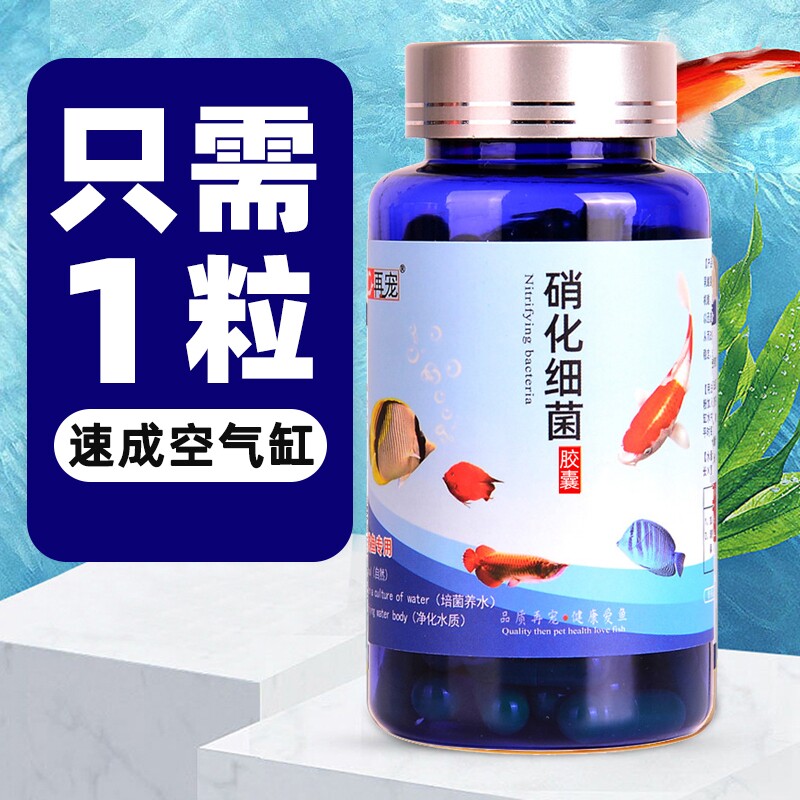 细菌胶囊片净化鱼缸净水剂硝化菌养鱼用品水族鱼清澈剂观赏鱼消化