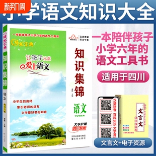 小升初知识大集结让孩子从此爱上语文 培优宝典升级版 小学生语文数学英语重点知识集锦基础知识大全 语文四川专版 小学语文知识集锦
