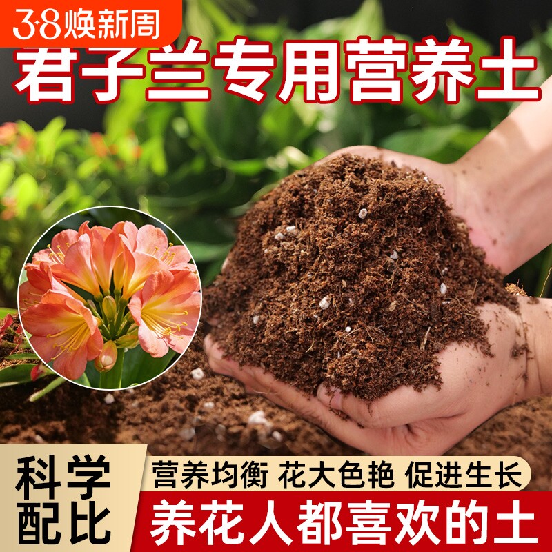 君子兰专用土通用专用泥炭兰花科土肥料有机种植土壤兰花营养土