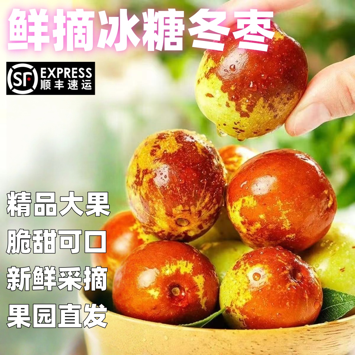 顺丰包邮正宗冬枣新鲜大果应季整箱枣子现摘脆枣冰糖大枣当季水果