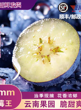 [空运发货]云南蓝莓鲜果高山新鲜水果应当季现摘大果22mm多规格