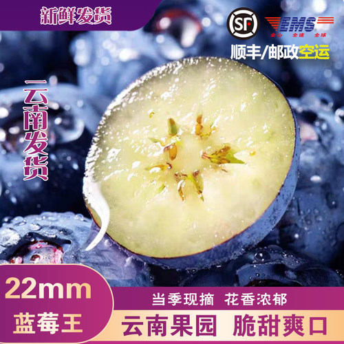 云南蓝莓鲜果高山新鲜水果