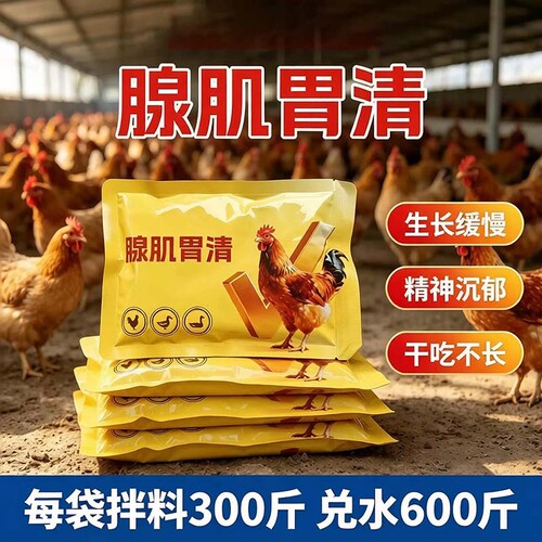 鸡腺肌胃炎专用药鸡鸭鹅拉稀拉白